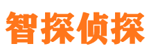 武平市调查公司